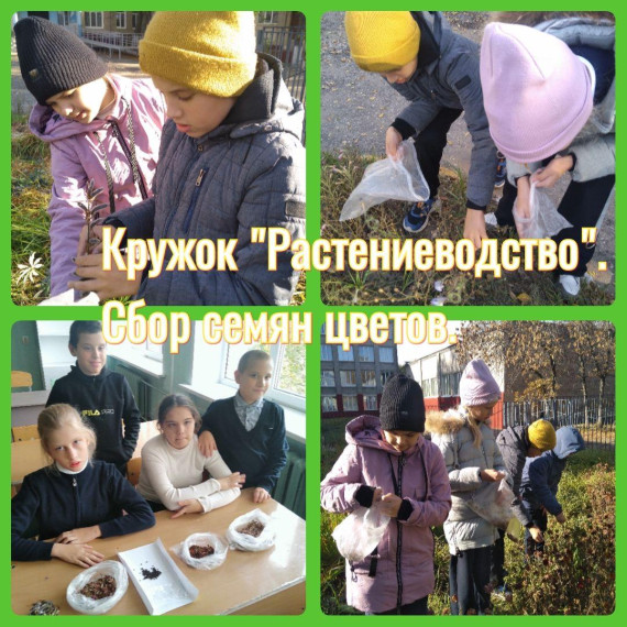 ОГКОУ Школа №19, кружок.