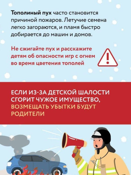 Огкоу Школа №19, тополиный пух.